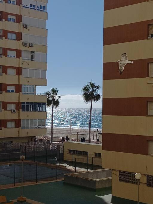 Appartamento Alegrias De Cadiz By Gades Gestion Esterno foto